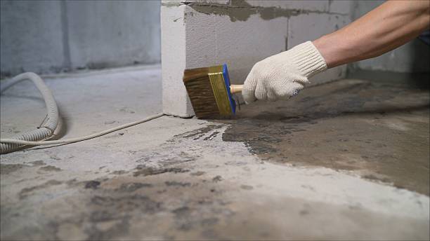 SJ Waterproofing Pros Waterproofing coverage map for Tustin, MI and surrounding area